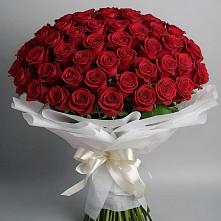 Букет 101 Красная роза Блэк Мэджик #REPLACE_PRED# Поселке имени Дзержинского