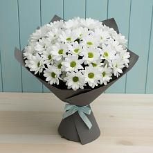 Букет цветов из:  Хризантемы #REPLACE_PRED# Поселке имени Дзержинского