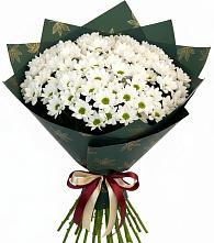 Букет цветов из:  Хризантемы #REPLACE_PRED# Поселке имени Дзержинского