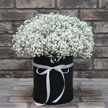 Цветочная композиция из Гипсофила в шляпной коробке в Поселке имени Дзержинского