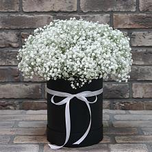 Цветочная композиция из Гипсофила в шляпной коробке в Поселке имени Дзержинского