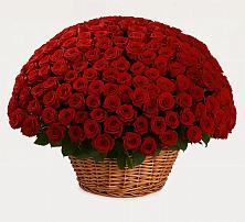 Премиум букет из: Розы #REPLACE_PRED# Поселке имени Дзержинского