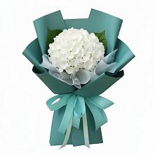 Букет цветов из:  Гортензия в Поселке имени Дзержинского